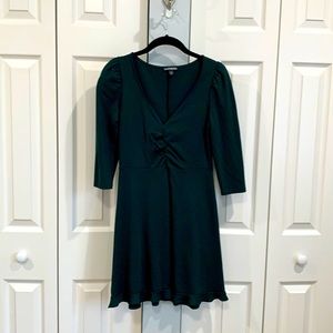 Express Fit and Flare Dress